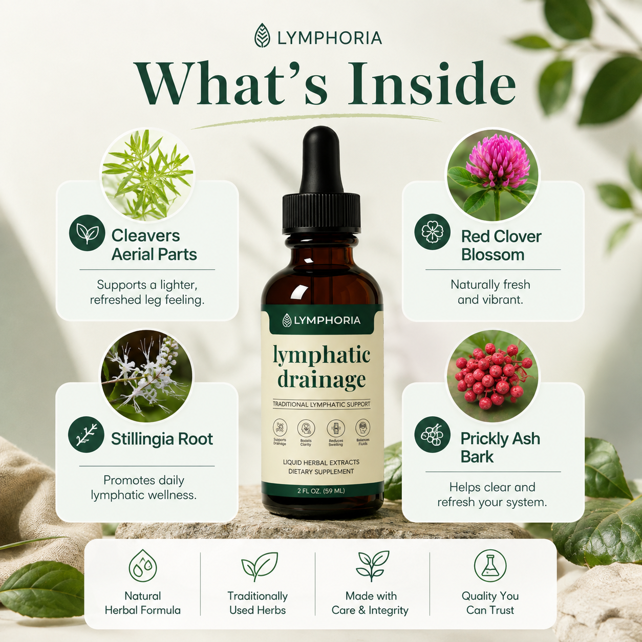 Lymphoria® Lymphatic Drainage Drops